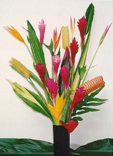 Maui's Best Flowers
